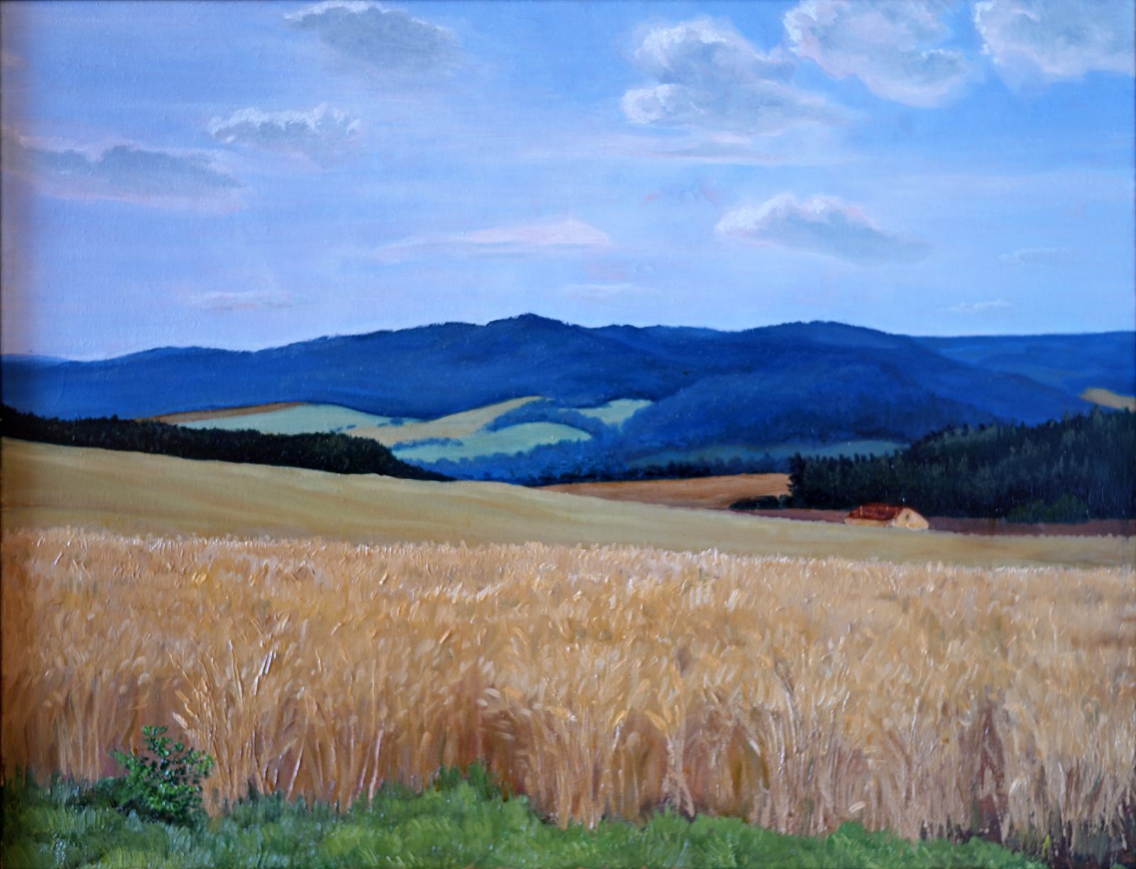 Krajina na Milevsku